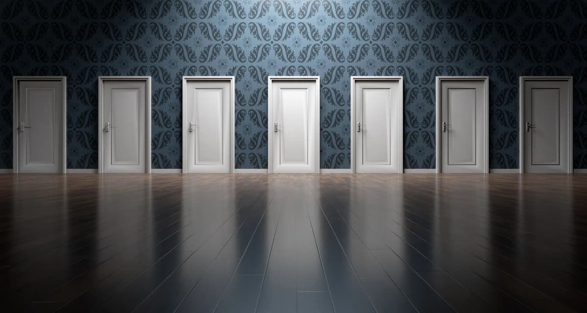 Opportunities for Investment and Growth
